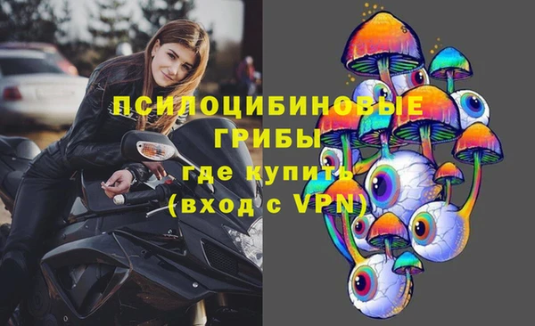 молекула духа Слюдянка