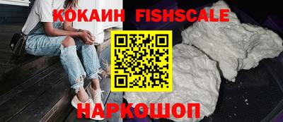 кокс Кингисепп