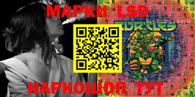 индика Кимры