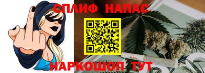 кокс Кингисепп