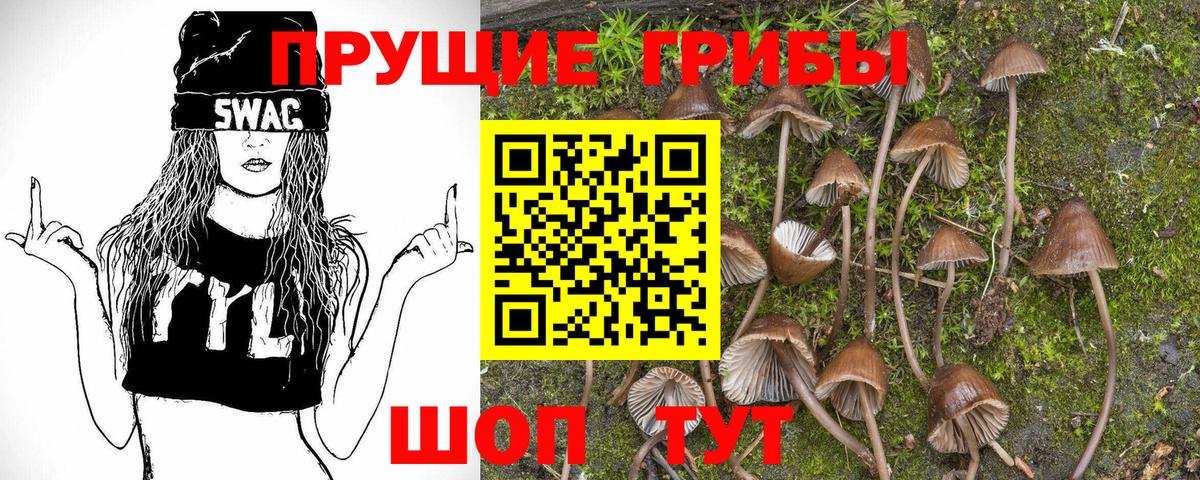 Галлюциногенные грибы Psilocybine cubensis Ишим